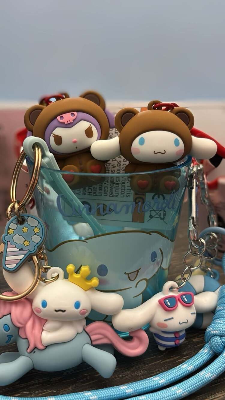 Cinnamoroll Keychain and Cup Collector's Gift Set | 5 Pieces | Kuromi | Curated